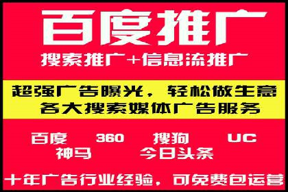 SEM推广实战：成功案例解读与策略调整